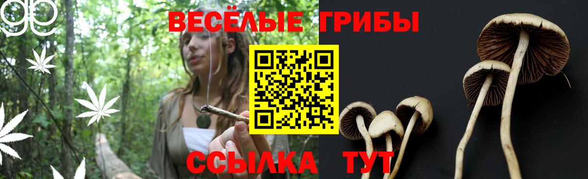 наркотики  Вход с VPN  Строитель  Галлюциногенные грибы прущие грибы 